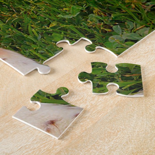 Springer Spaniel Dog Jigsaws. Legpuzzel (Zijkant)