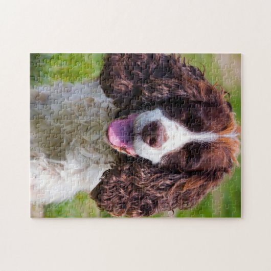 Springer Spaniel Dog Jigsaws. Legpuzzel (Horizontaal)