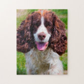 Springer Spaniel Dog Jigsaws. Legpuzzel (Verticaal)