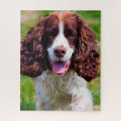 Springer Spaniel Dog Jigsaws. Legpuzzel (Verticaal)