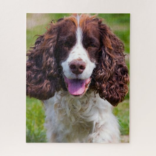 Springer Spaniel Dog Jigsaws. Legpuzzel (Verticaal)