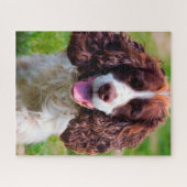Springer Spaniel Dog Jigsaws. Legpuzzel (Horizontaal)