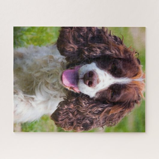 Springer Spaniel Dog Jigsaws. Legpuzzel (Horizontaal)