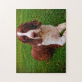 Springer Spaniel Dog Jigsaws. Legpuzzel (Verticaal)