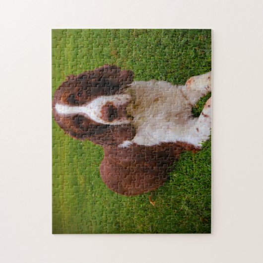 Springer Spaniel Dog Jigsaws. Legpuzzel (Verticaal)