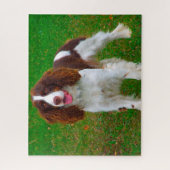 Springer Spaniel Dog Jigsaws. Legpuzzel (Verticaal)
