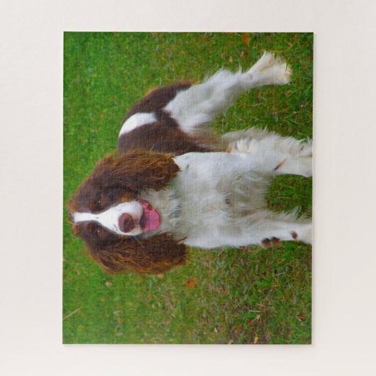 Springer Spaniel Dog Jigsaws. Legpuzzel (Verticaal)