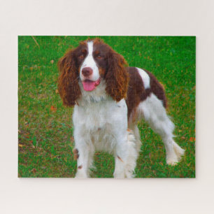 Springer Spaniel Dog Jigsaws. Legpuzzel