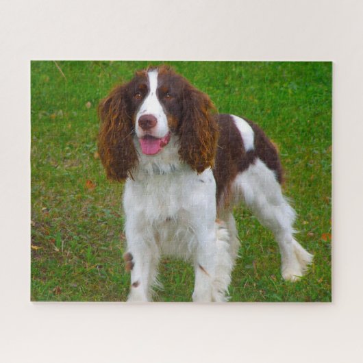 Springer Spaniel Dog Jigsaws. Legpuzzel (Horizontaal)