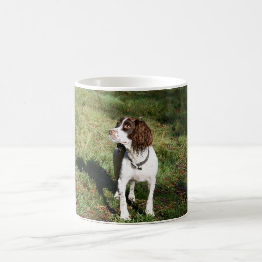 Springer Spaniel Dog Mok (Center)
