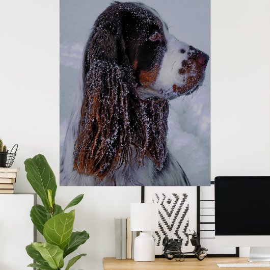 Springer Spaniel Dog Poster. Poster (Thuiskantoor)