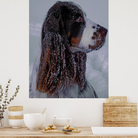 Springer Spaniel Dog Poster. Poster (Keuken)
