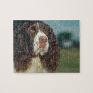 Springer Spaniel Dog Puzzle Legpuzzel