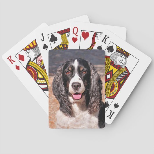 Springer Spaniel Dog-speelkaarten Pokerkaarten (Achterkant)