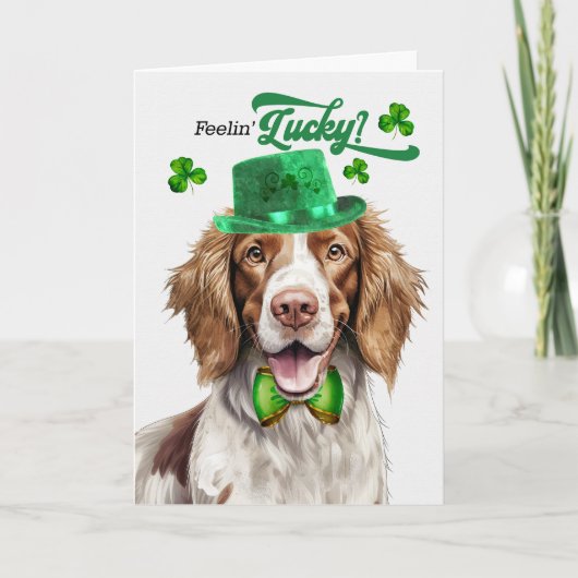 Springer Spaniel Feelin' Lucky St Patrick's Day Feestdagen Kaart (Voorkant)