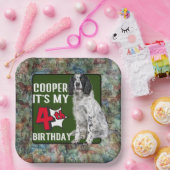 Springer Spaniel Gepersonaliseerd vierde verjaarda Papieren Bordje (Feest)