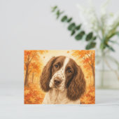 Springer Spaniel Herfst Bos Hond Briefkaart (Staand voorkant)