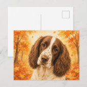 Springer Spaniel Herfst Bos Hond Briefkaart (Voorkant / Achterkant)