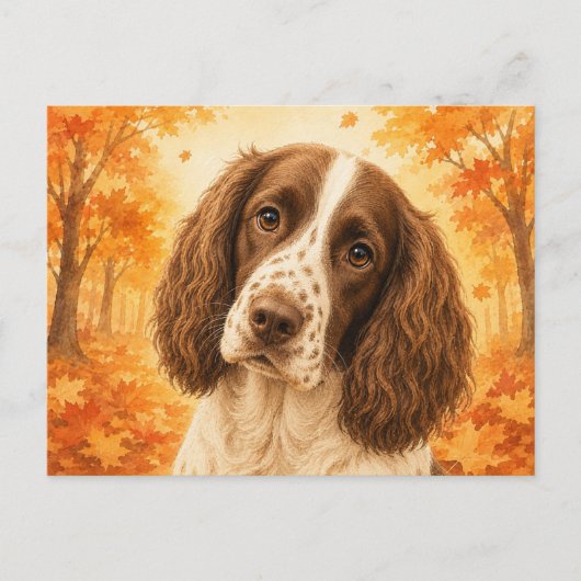 Springer Spaniel Herfst Bos Hond Briefkaart (Voorkant)