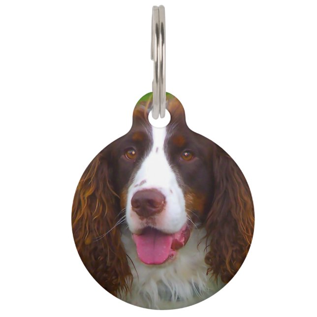 Springer Spaniel hond. Huisdierpenning (Voorkant)