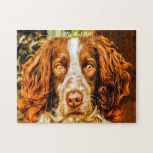 Springer Spaniel Hond Legpuzzels. Legpuzzel