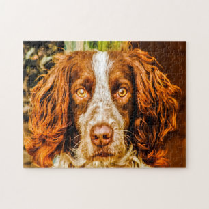 Springer Spaniel Hond Legpuzzels. Legpuzzel