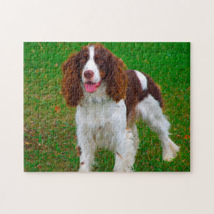 Springer Spaniel Hond Legpuzzels. Legpuzzel