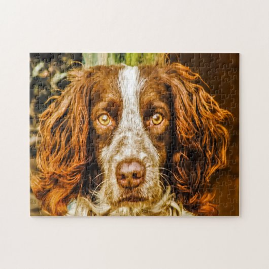 Springer Spaniel Hond Legpuzzels. Legpuzzel (Horizontaal)
