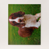 Springer Spaniel Hond Legpuzzels. Legpuzzel (Verticaal)