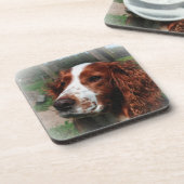 Springer Spaniel Hondenkunst Bier Onderzetter (Linkerzijde)