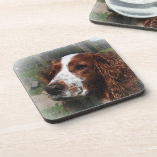 Springer Spaniel Hondenkunst Bier Onderzetter (Linkerzijde)