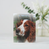 Springer Spaniel Hondenkunst Briefkaart (Staand voorkant)