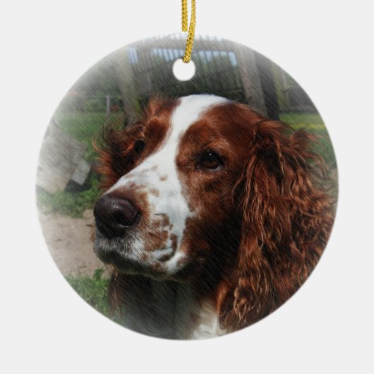 Springer Spaniel Hondenkunst Keramisch Ornament (Voorkant)