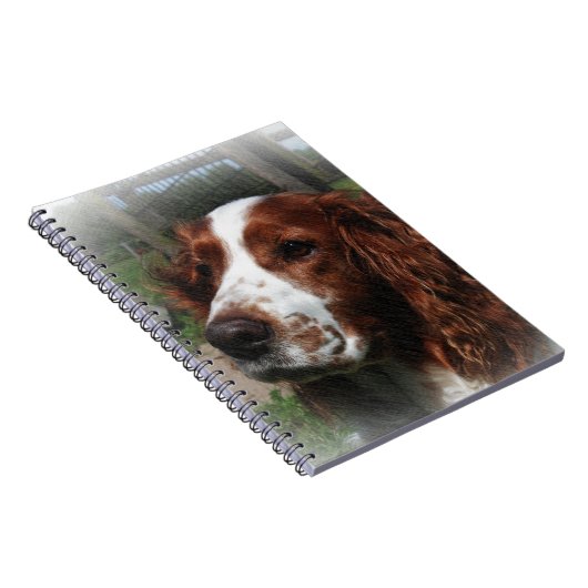 Springer Spaniel Hondenkunst Notitieboek (Rechterzijde)