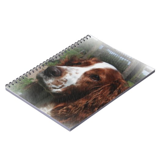 Springer Spaniel Hondenkunst Notitieboek (Linkerzijde)
