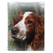 Springer Spaniel Hondenkunst Notitieboek (Voorkant)