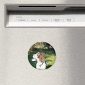Springer Spaniel Hondenmagneet Magneet (Insitu (Vaatwasser))