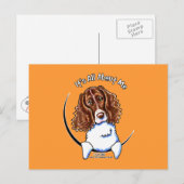Springer Spaniel IAAM Briefkaart (Voorkant / Achterkant)