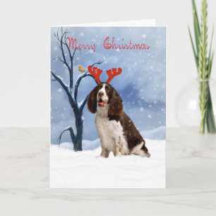 springer spaniel kerstkaart - springer spanie feestdagen kaart
