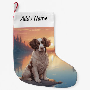 Springer Spaniel  Kleine Kerstsok