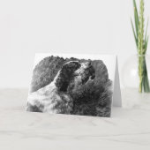  Springer Spaniel kunst Kaart (Voorkant)