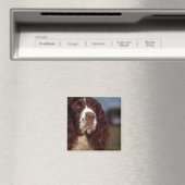 Springer Spaniel Magneet (Insitu (Vaatwasser))