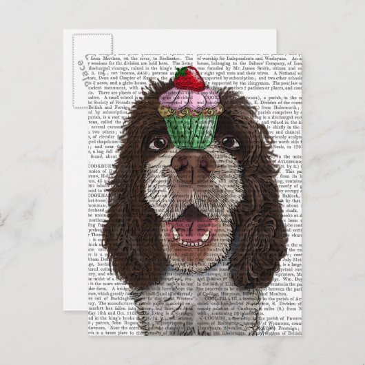 Springer Spaniel met Cupcake Briefkaart (Voorkant / Achterkant)