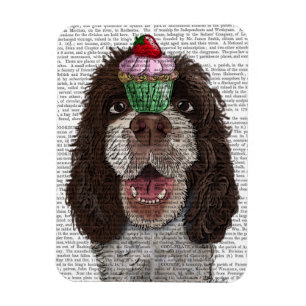 Springer Spaniel met Cupcake Magneet