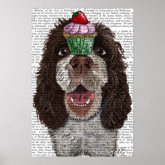 Springer Spaniel met Cupcake Poster (Voorkant)