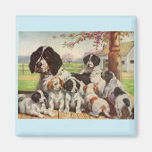 springer spaniel moeder en puppies magneet (Voorkant)