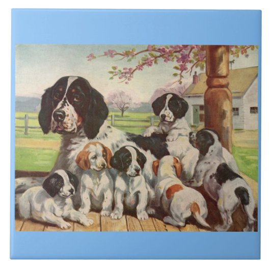 springer spaniel moeder en puppies tegeltje (Voorkant)