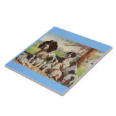 springer spaniel moeder en puppies tegeltje (Zijkant)