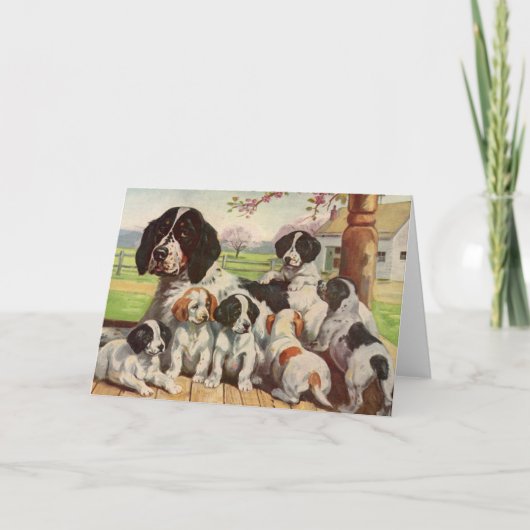 Springer spaniel moeder en puppy's kaart (Voorkant)