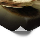 Springer Spaniel Print (Hoek)